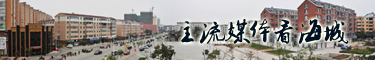 主流媒体看海城.jpg