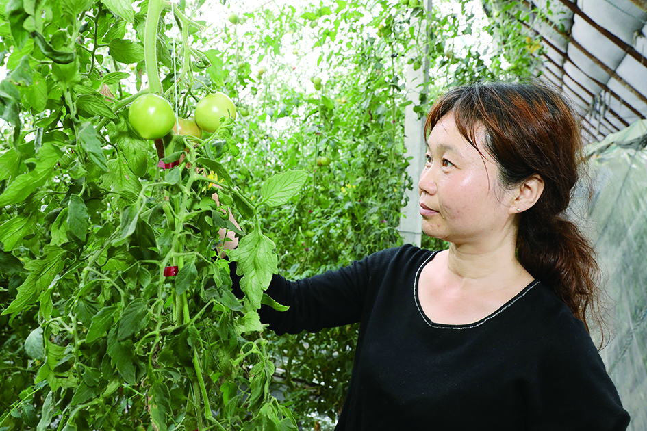 陈畅荣获鞍山市杰出科技工作者称号