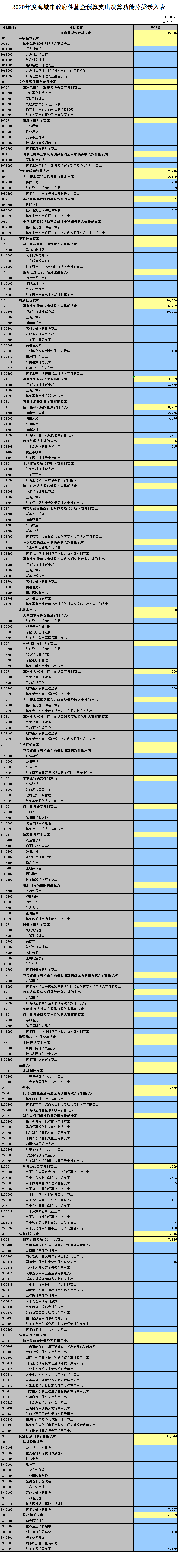 2020年度海城市政府性基金预算支出决算功能分类录入表