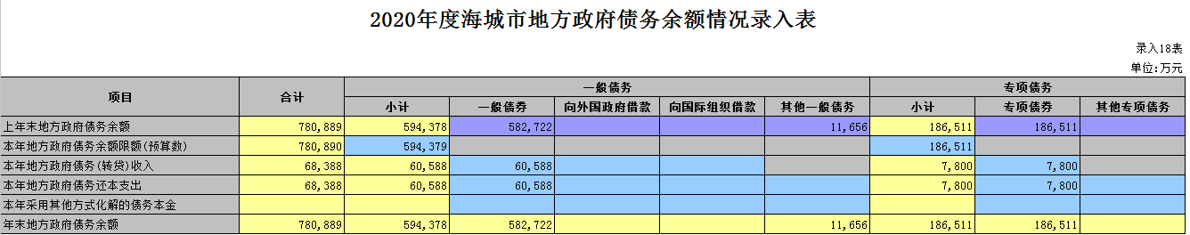 2020年度海城市地方政府债务余额情况录入表