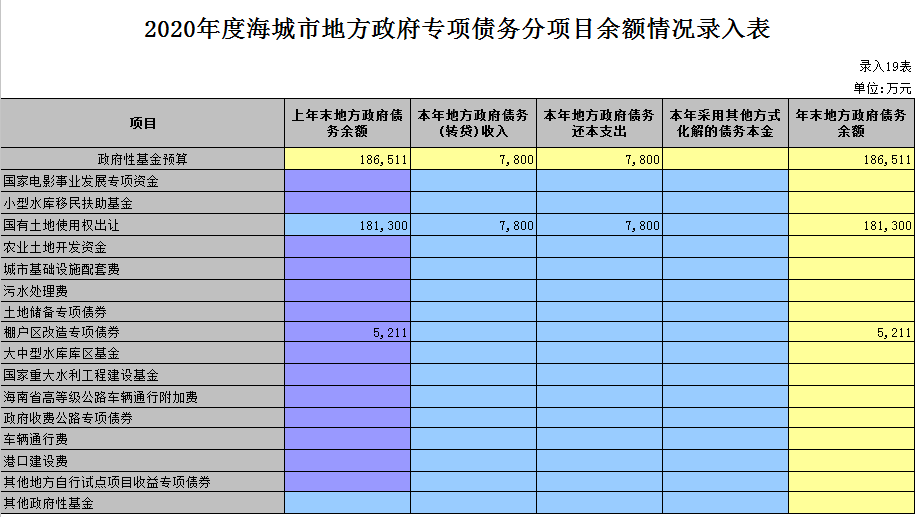 2020年度海城市地方政府专项债务分项目余额情况录入表
