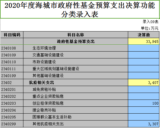 2020年度海城市政府性基金预算支出决算功能分类录入表