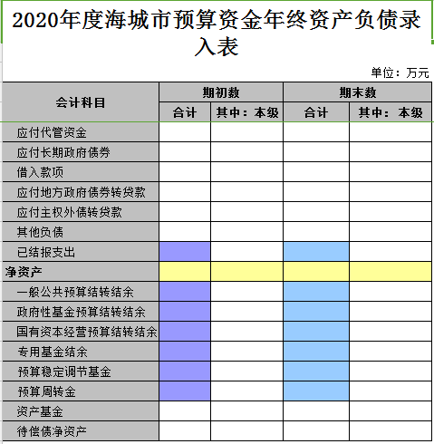 2020年度海城市预算资金年终资产负债录入表