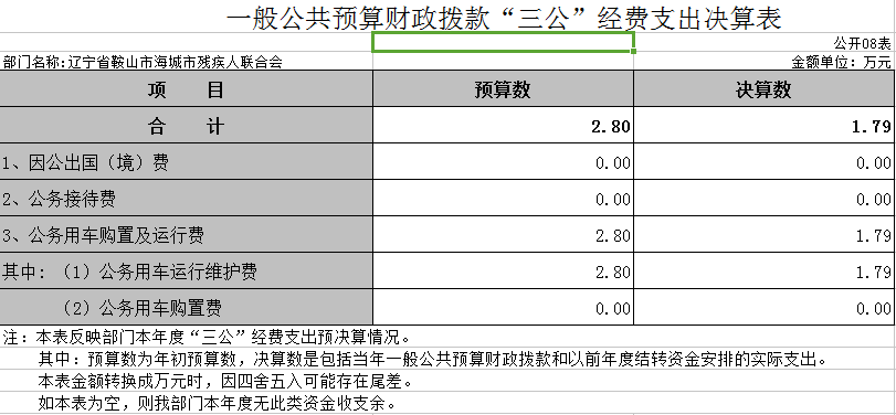 辽宁省鞍山市海城市残疾人联合会2020年决算公开表
