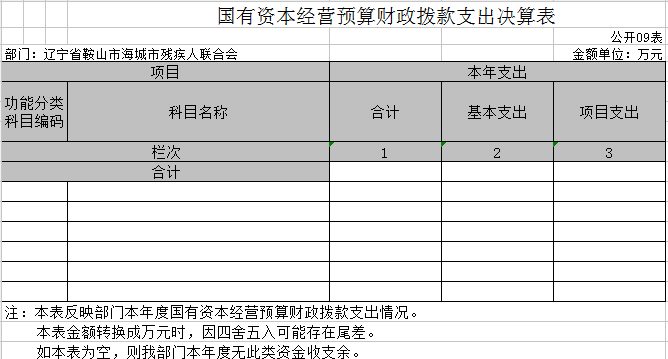 辽宁省鞍山市海城市残疾人联合会2020年决算公开表