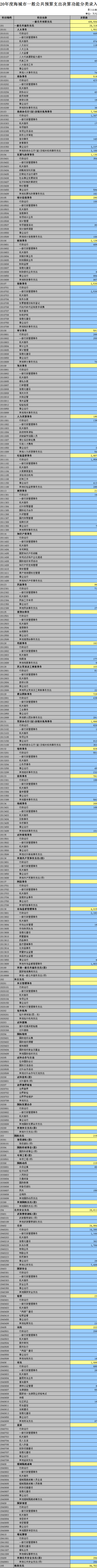 2020年度海城市一般公共预算支出决算功能分类录入表