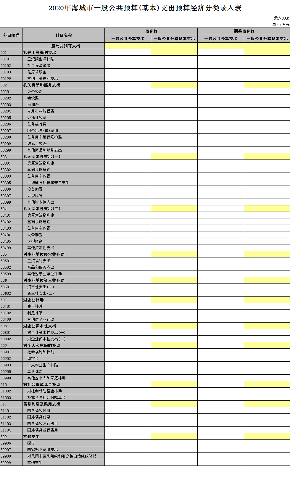 2020年海城市一般公共预算(基本)支出预算经济分类录入表