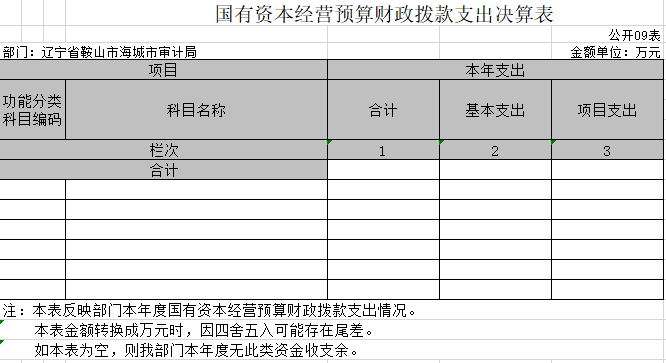 辽宁省鞍山市海城市审计局2020年决算公开表
