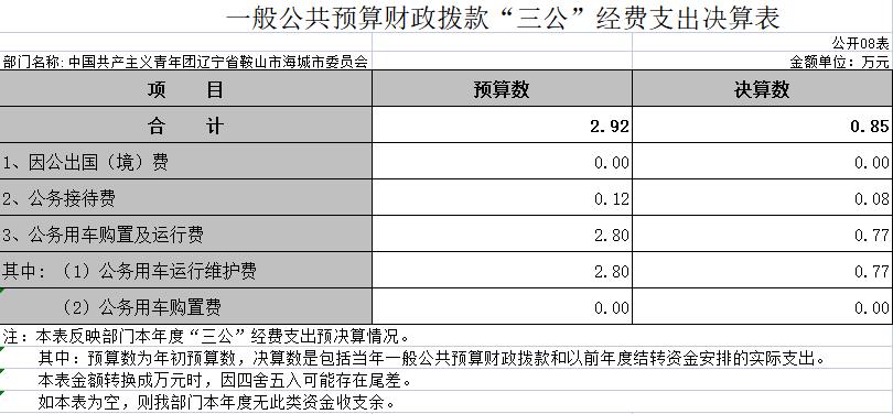 辽宁省鞍山市海城团市委2020年决算公开表