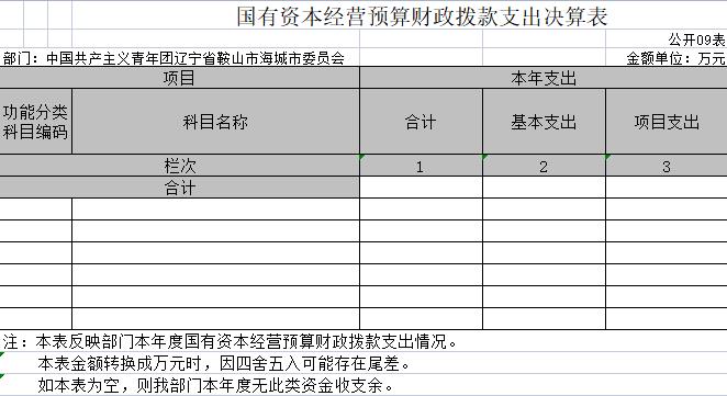 辽宁省鞍山市海城团市委2020年决算公开表