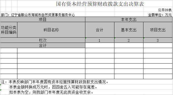 辽宁省鞍山市海城市自然资源事务服务中心2020年决算公开表