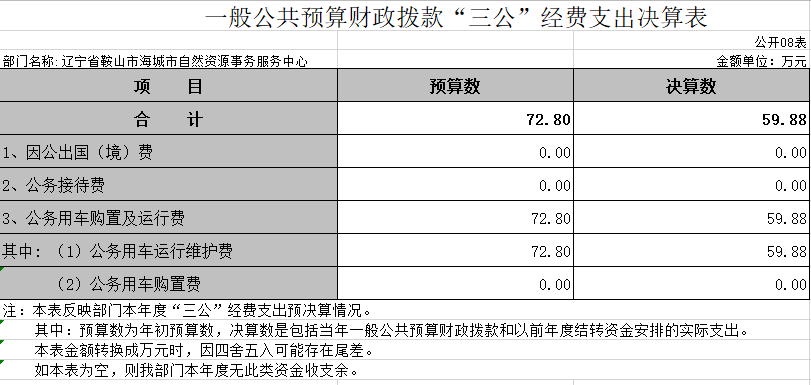 辽宁省鞍山市海城市自然资源事务服务中心2020年决算公开表
