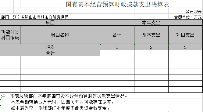 辽宁省鞍山市海城市自然资源局2020年决算公开表
