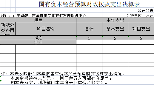 辽宁省鞍山市海城市文化旅游发展促进中心2020年决算公开表