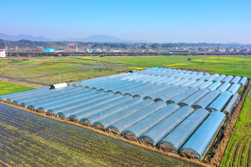 牢记总书记嘱托 在希望的田野上谱写乡村振兴新篇章