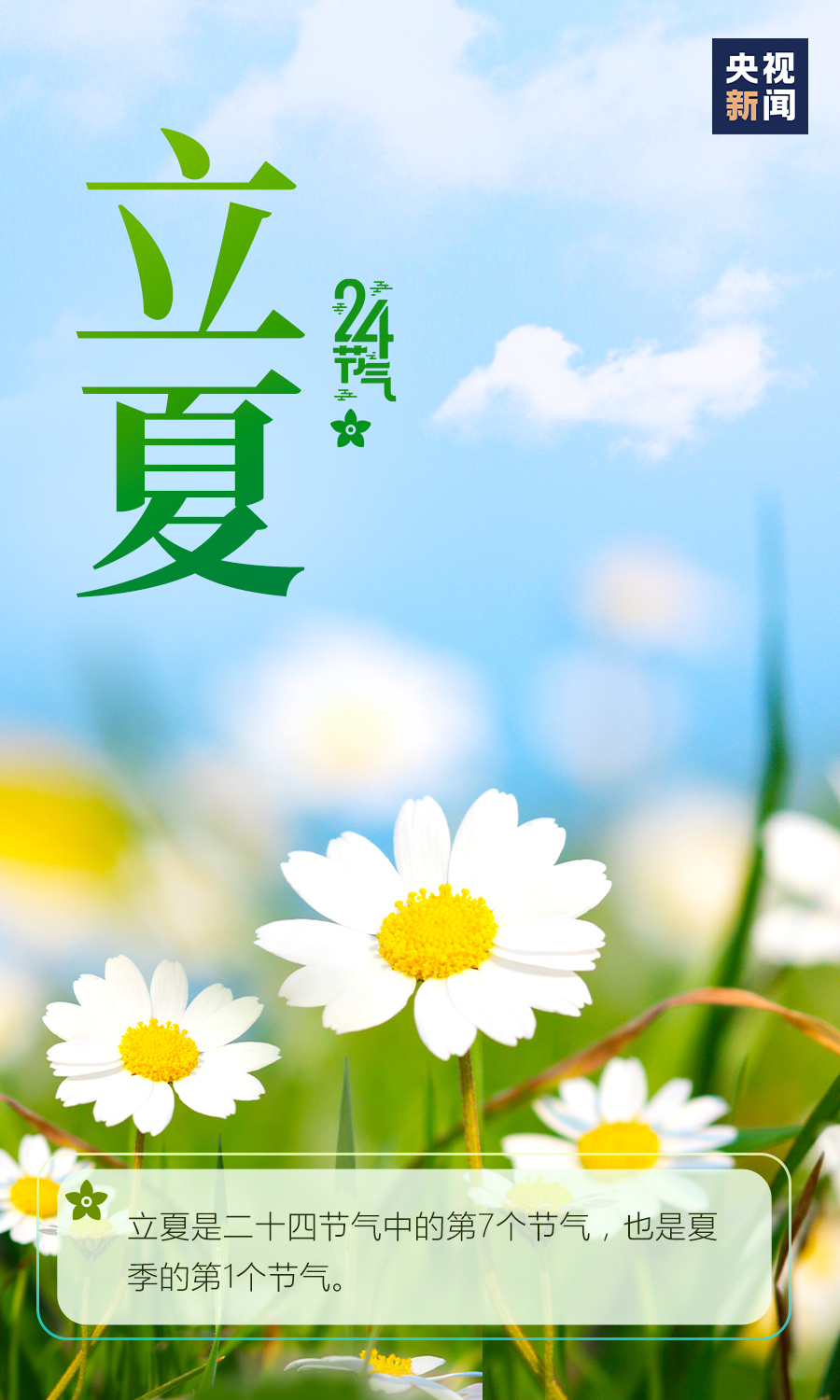 你好，夏天！