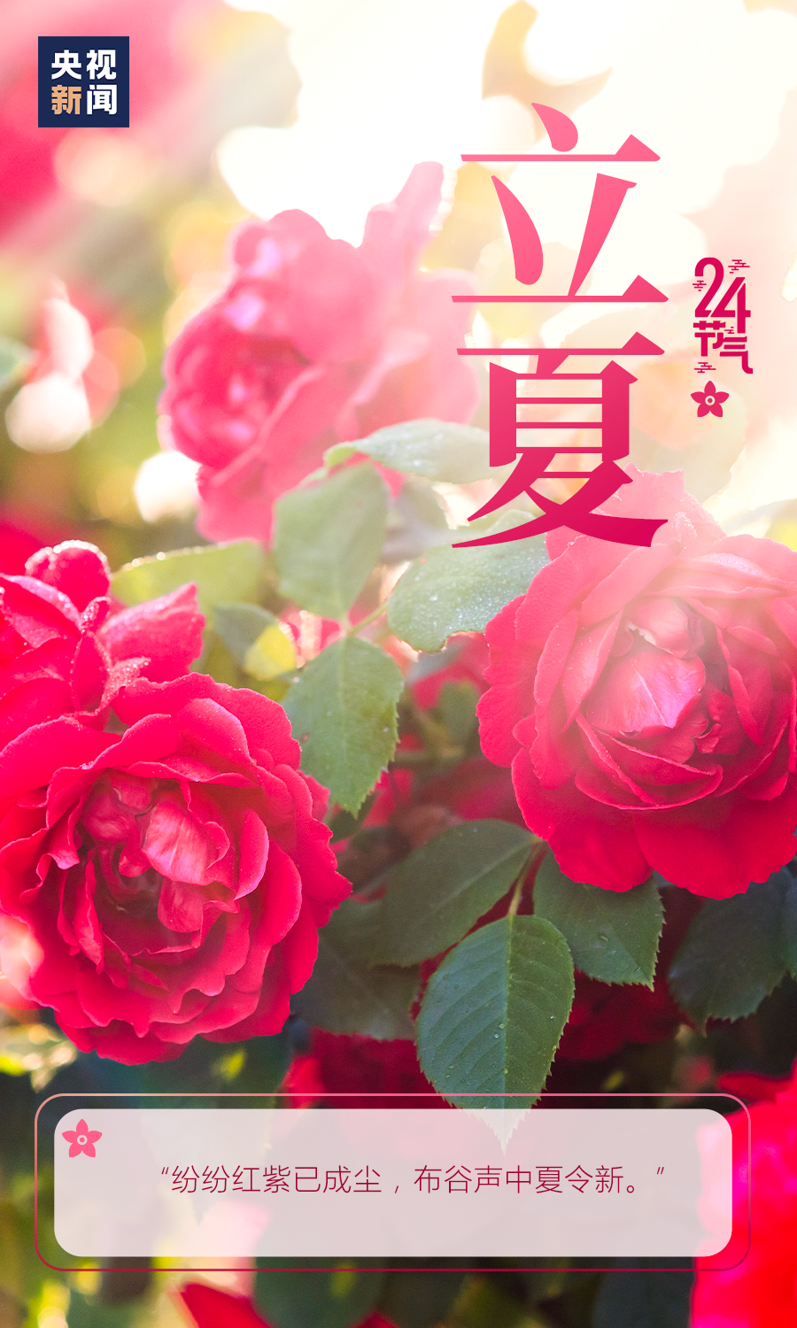 你好，夏天！