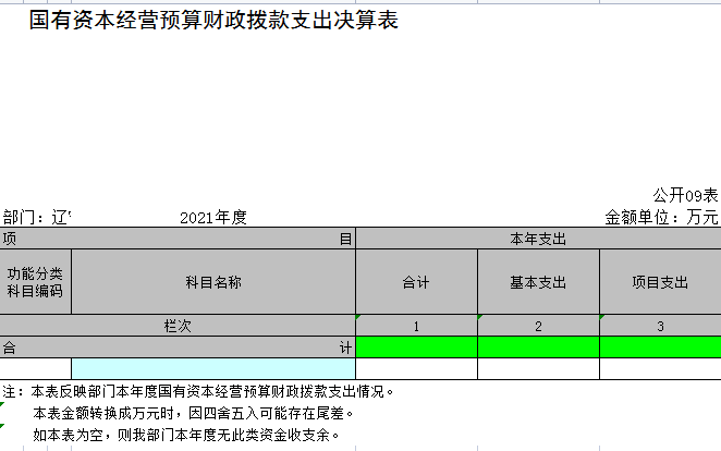 辽宁省鞍山市海城市开发区实验学校2021年决算公开表