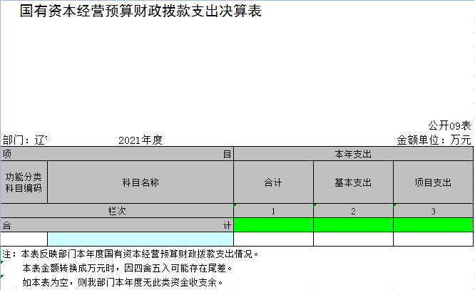 辽宁省鞍山市海城市中心幼儿园2021年决算公开表