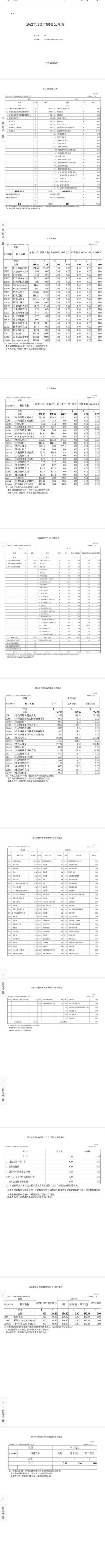 辽宁省鞍山市海城市残疾人联合会部门决算公开表