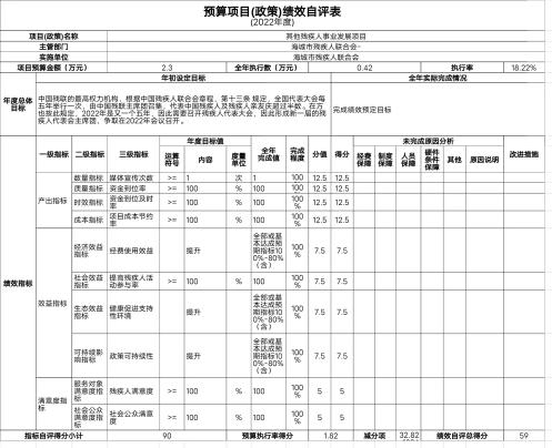 辽宁省鞍山市海城市残疾人联合会预算项目（政策）绩效自评表