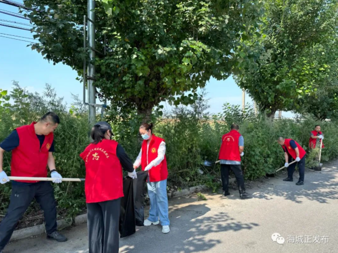耿庄镇干部群众齐上阵 人居环境换新颜