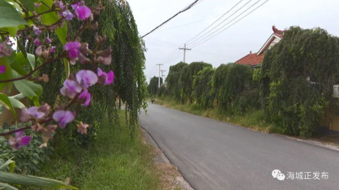 村里修路,村民点赞:咱东四街道,太棒了!