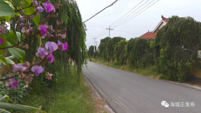 村里修路，村民点赞：咱东四街道,太棒了！