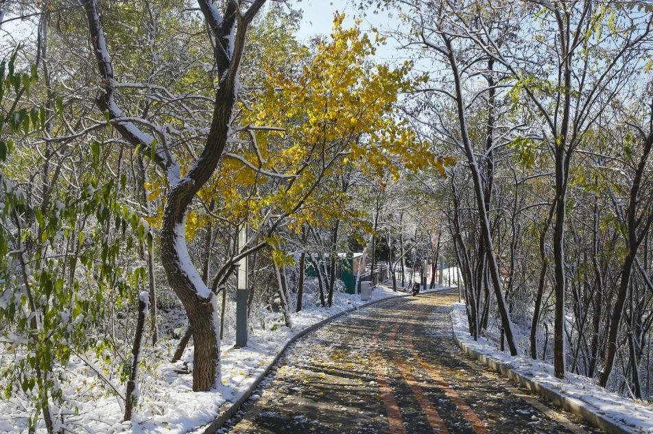 雪后初晴见蓝天 双龙山雪景美呆啦!