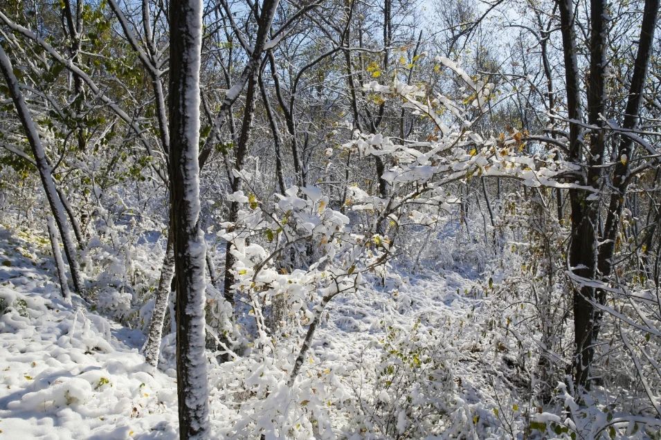 雪后初晴见蓝天 双龙山雪景美呆啦!