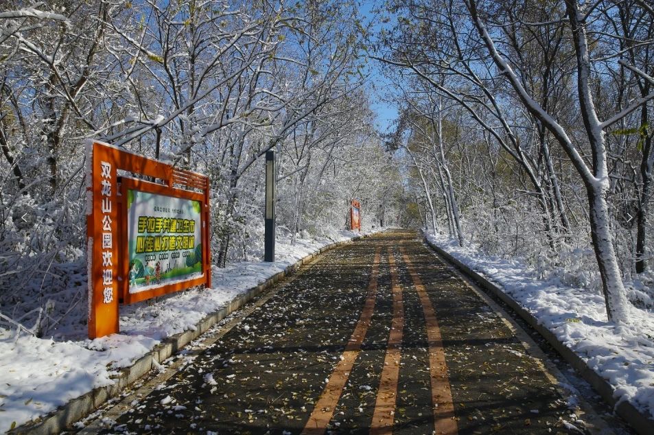 雪后初晴见蓝天 双龙山雪景美呆啦!