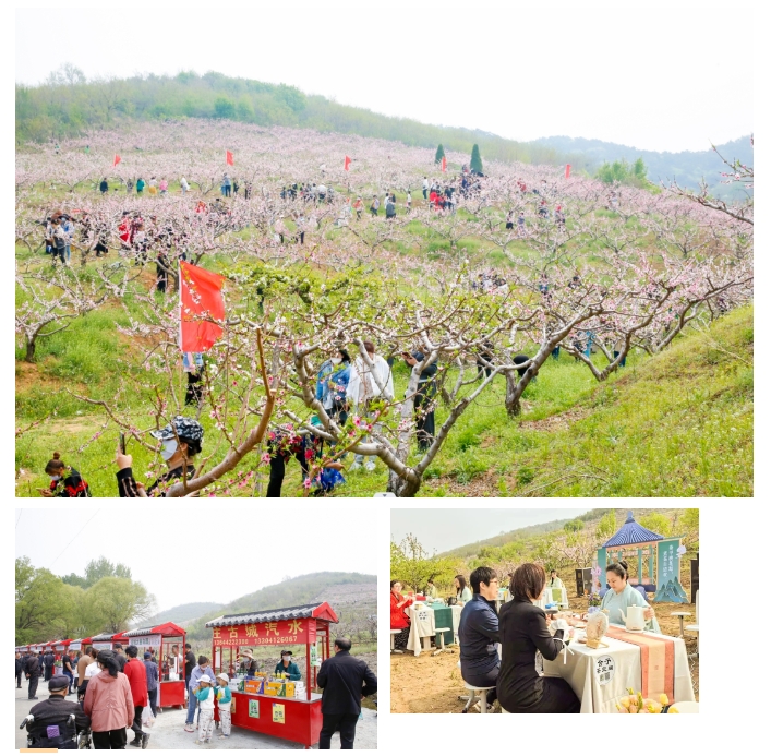 “北纬40度 海城质造”再添新亮色！2024海城八里首届桃花节盛装启幕