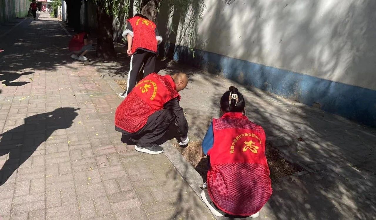 【城市精细化管理（180）】市卫健局：提升环境卫生质量 扮靓文明城市