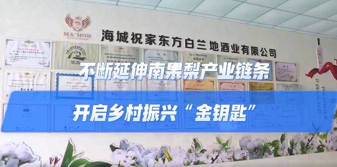 【冲刺四季度】祝家酒业：不断延伸南果梨产业链条开启乡村振兴“金钥匙”