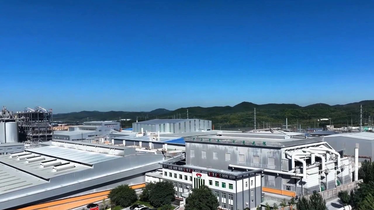 【冲刺四季度】牌楼镇:围绕产业做文章 谋划项目促发展