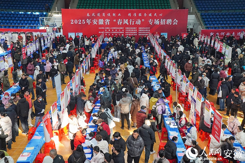 “春风”吹暖求职路——安徽2025年“春风行动”一线观察