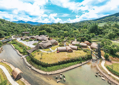 茶山、雨林、梯田——  五指山文旅“三重奏”