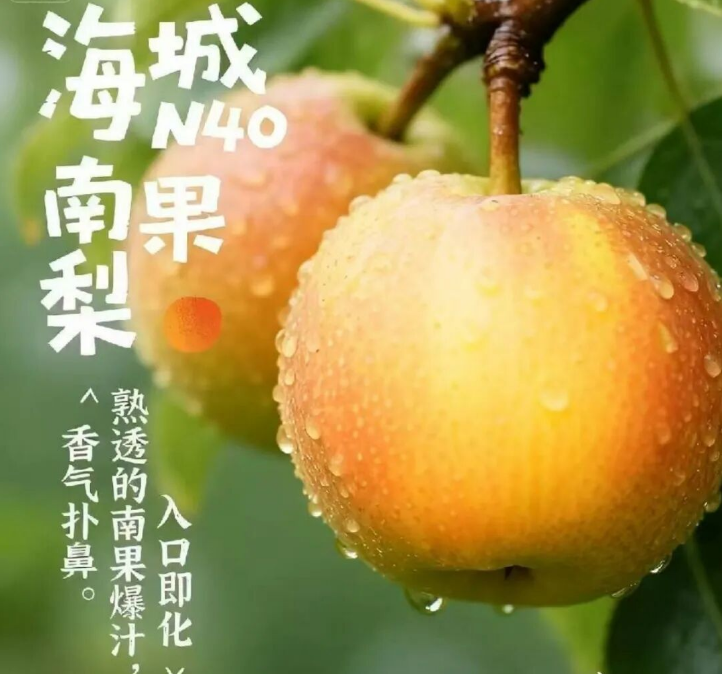 降温啦～海城最“镁”南果冻着吃，嘎嘎甜！---北纬40度的冰爽馈赠