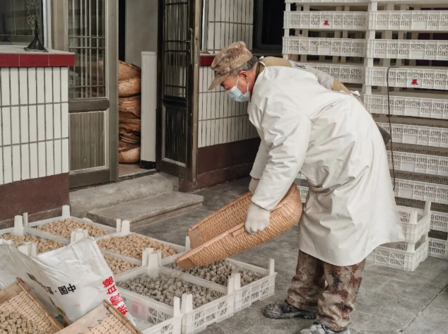 【非遗过大年】一勺馅料裹团圆 百年匠心煮年味
