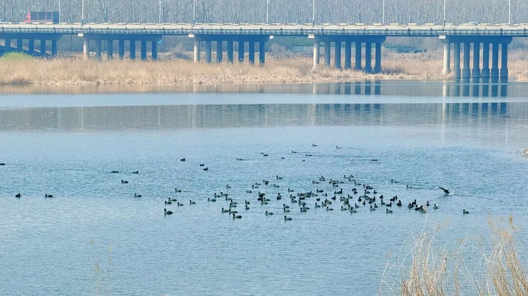 【走进海城】一城繁花赴春约 生态惠民绘幸福