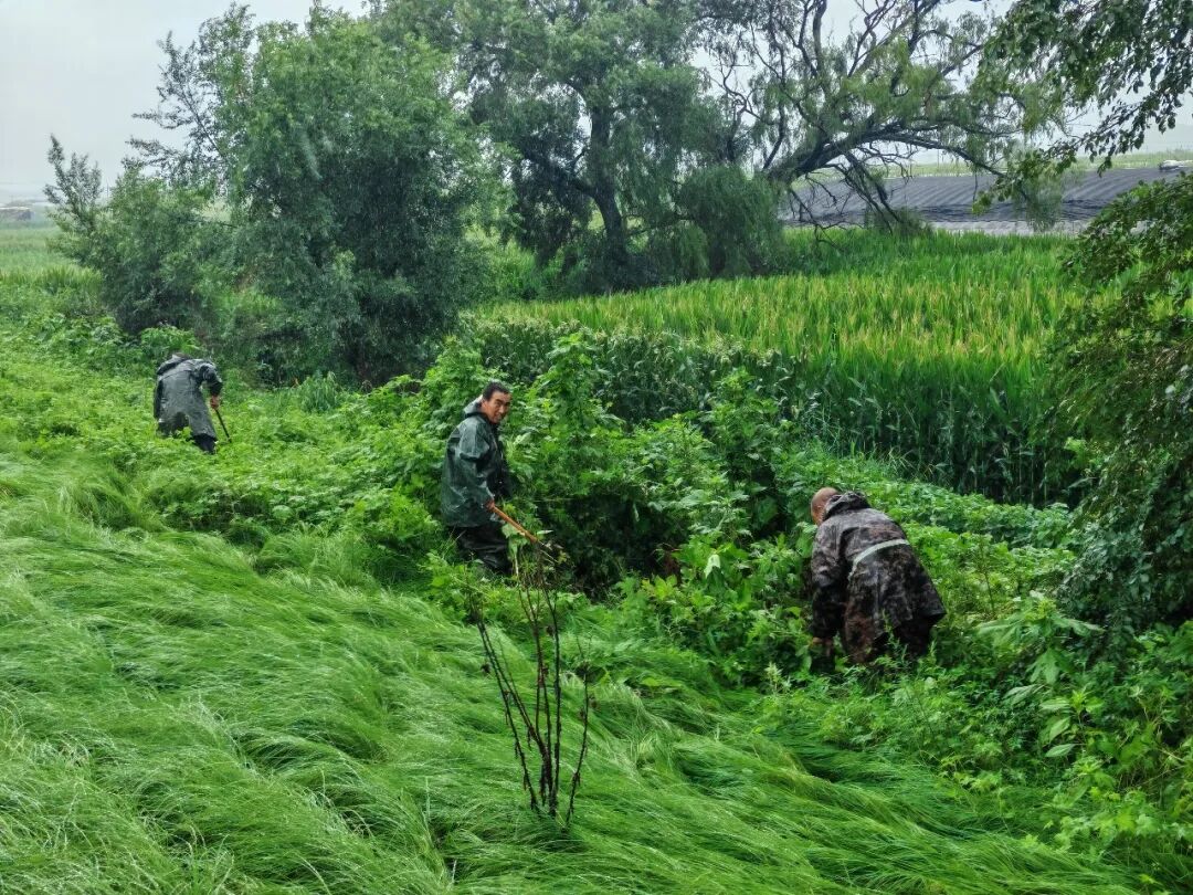 西四镇干群风雨同心战汛情
