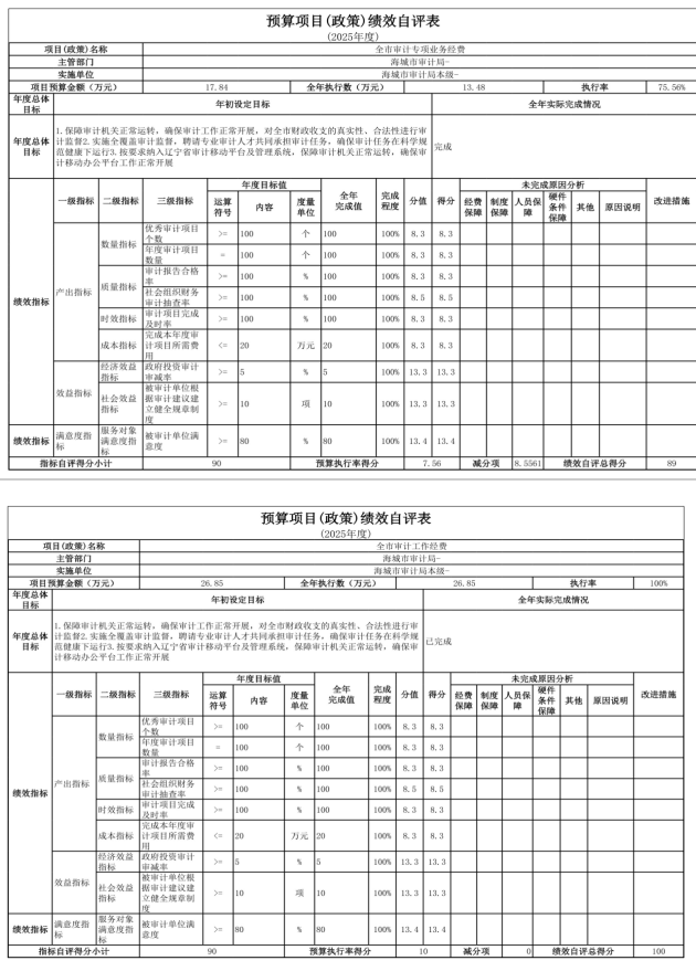 辽宁省鞍山市海城市审计局 2025年度公开报告