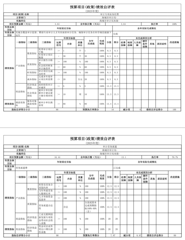 辽宁省鞍山市海城市审计局 2025年度公开报告