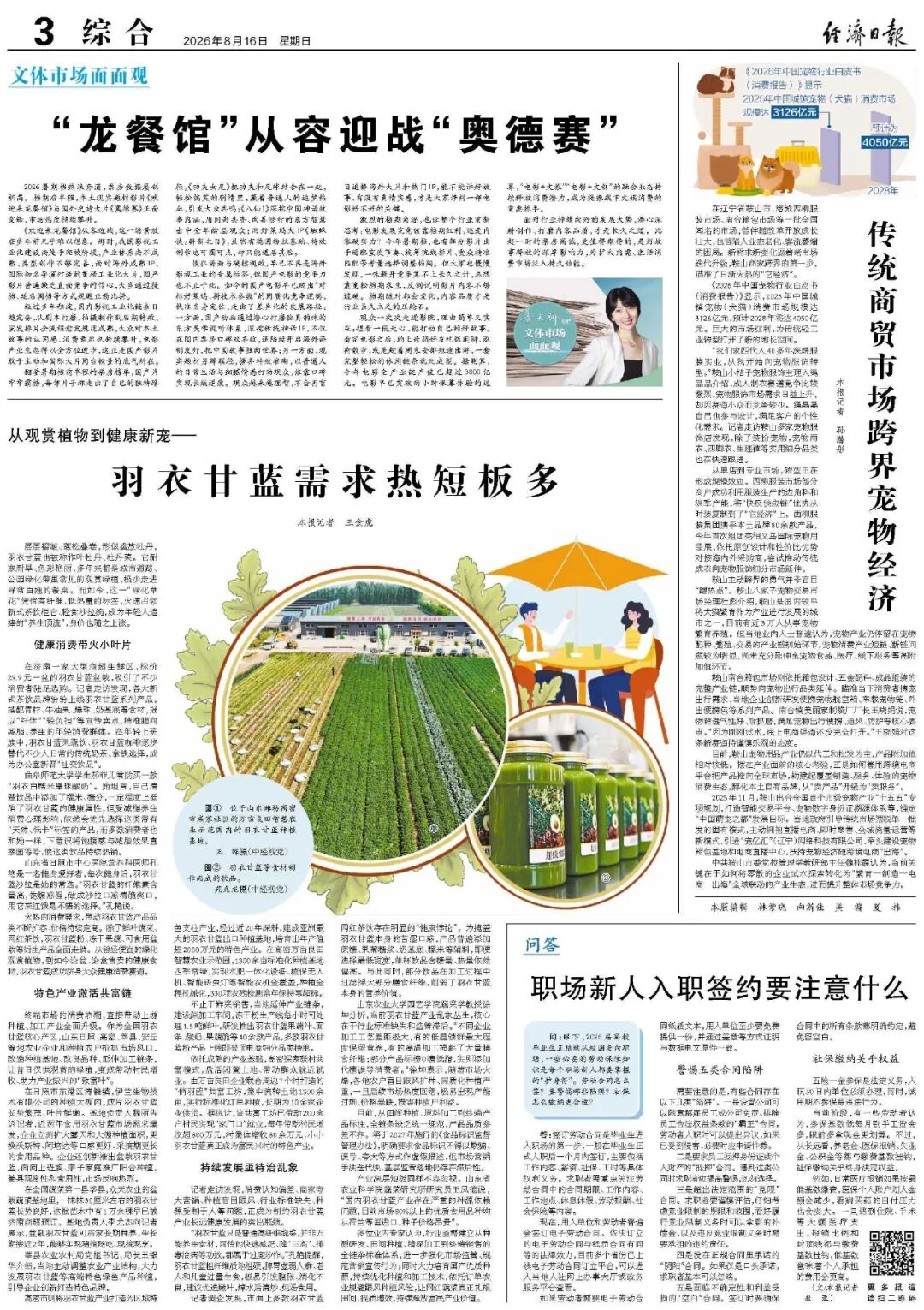 【央媒看海城】经济日报报道海城传统商贸市场跨界宠物经济