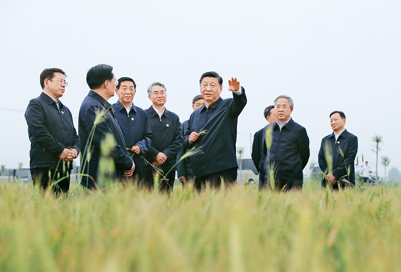 坚持把解决好“三农”问题作为全党工作重中之重 举全党全社会之力推动乡村振兴