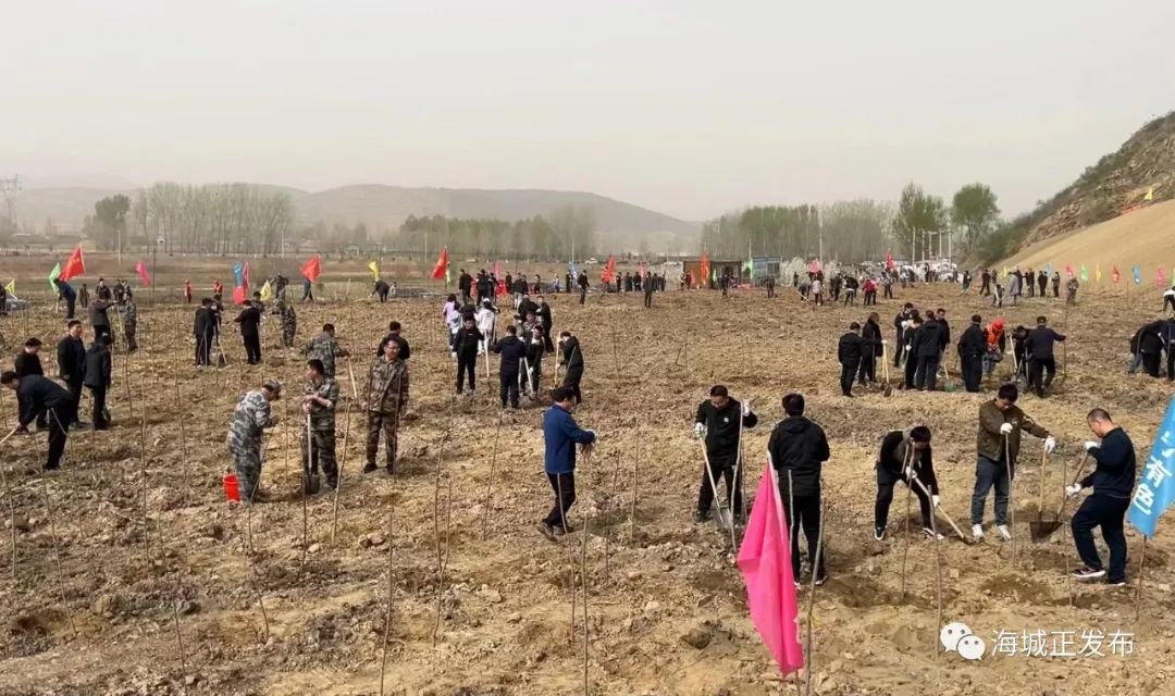 春风拂暖催新绿 植树造林正当时——海城市组织开展春季义务植树活动