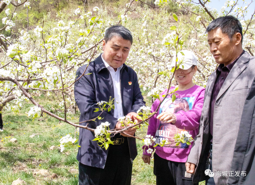 聚焦民生“真需求” 当好强村富民“带头人”