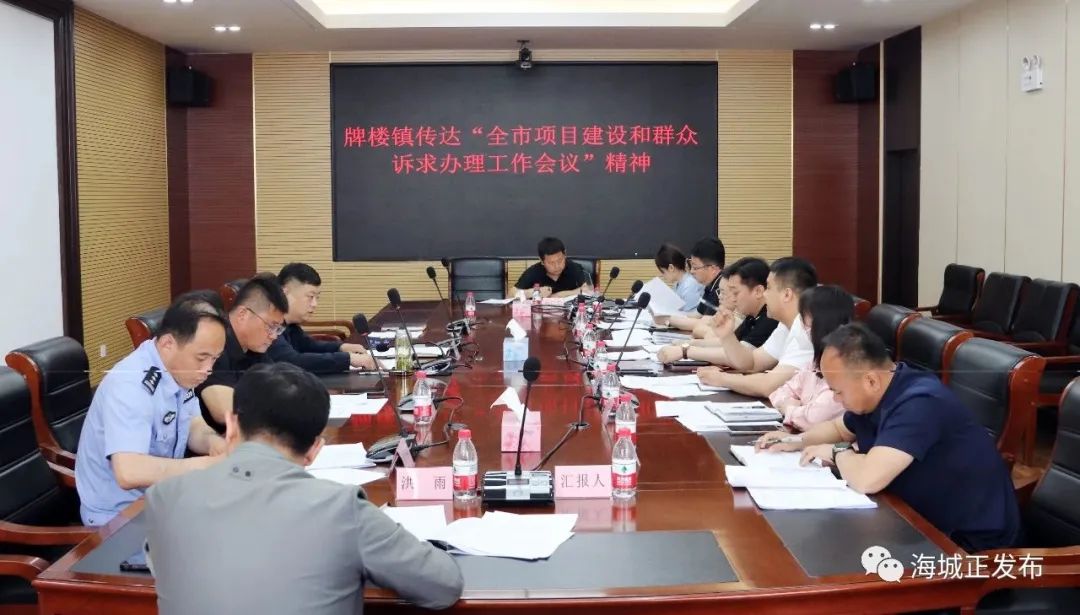 牌楼镇召开落实全市项目建设和群众诉求办理工作会议精神专题会议