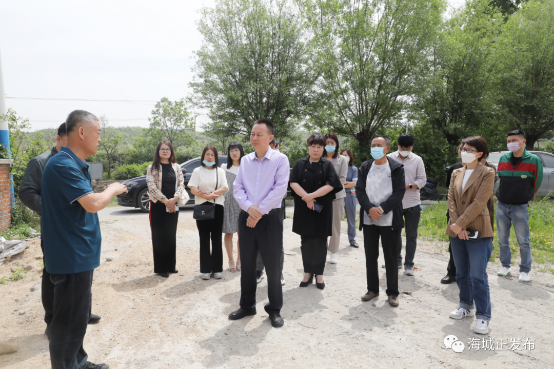 鞍山市人大代表海城团第三组开展调研活动