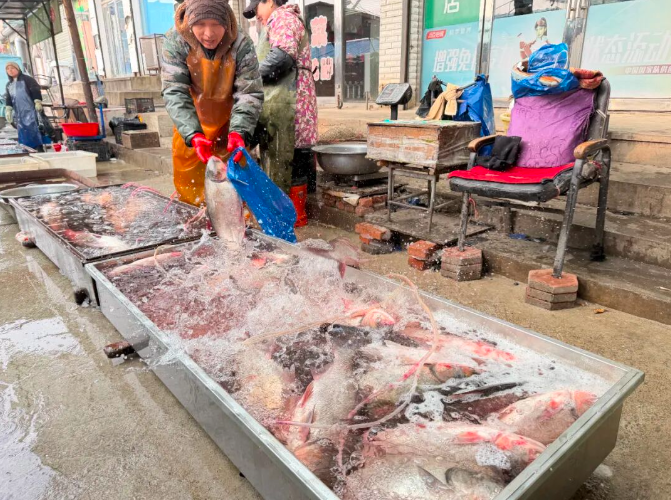 【2026新春走基层】逛高坨农贸市场 过烟火彤彤幸福年